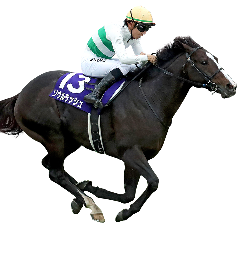 2024年度優勝馬 ソウルラッシュ