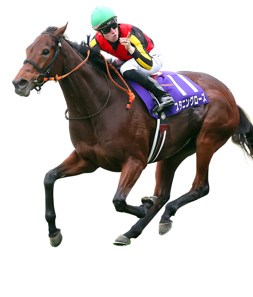 2024年度優勝馬 スタニングローズ