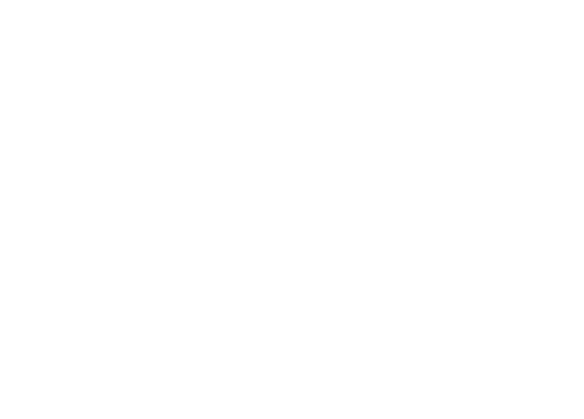 11.23 Sun マイルチャンピオンシップ（GI）15:40発走