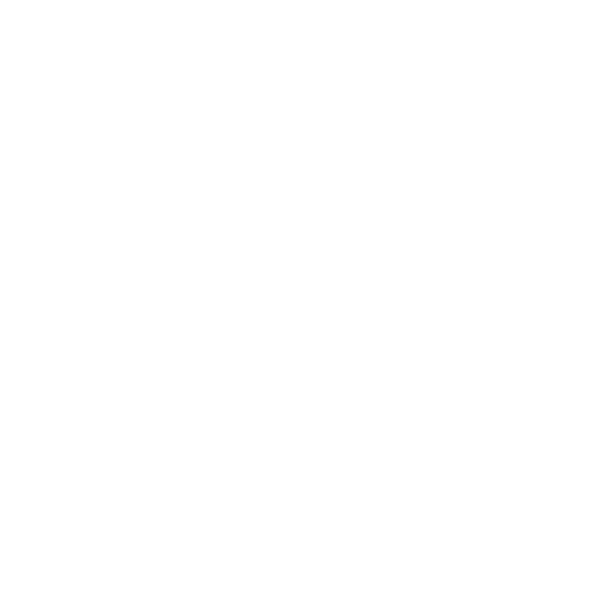 11.16 Sun エリザベス女王杯（GI) 15：40発走