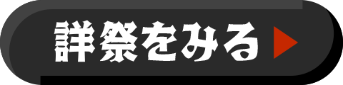詳祭をみる