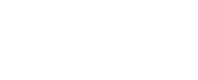 どこまでも、駆けていく。